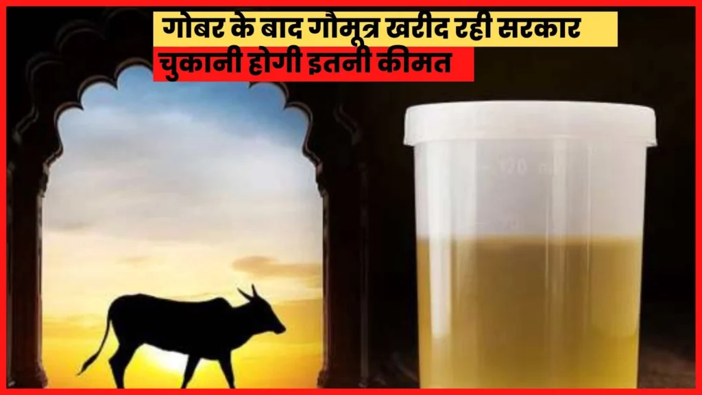 Now cow urine has become expensive, will have to pay such a price
