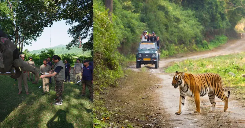 CM Dhami enjoyed safari in Corbett Tiger Reserve